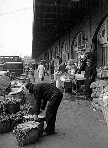 WPA Hot Lunch School Project, Washington, DC